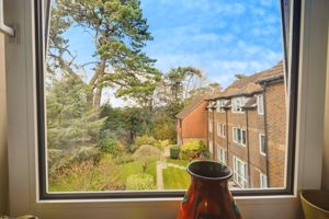 VIEW FROM BEDROOM- click for photo gallery